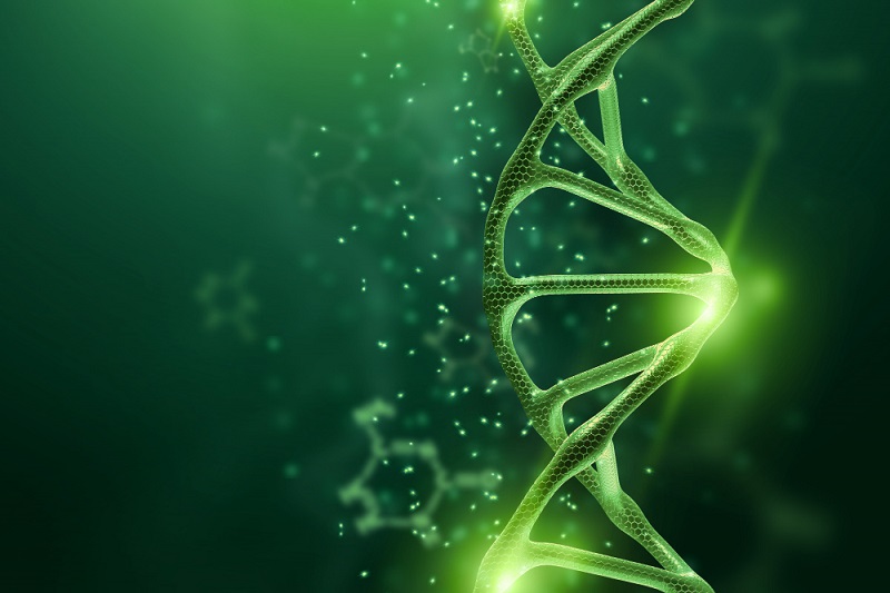 Biological Sciences